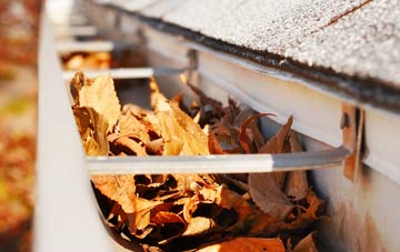 New England gutter cleaning companies